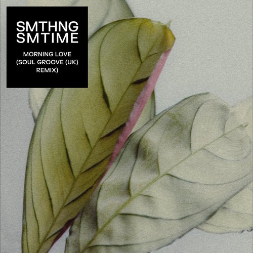 SMTHNG SMTIME - Morning Love (Soul Groove (UK) Remix) [FAS069S2]